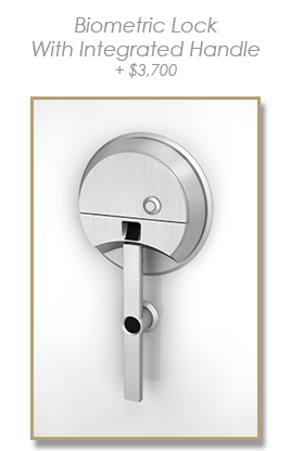 Biometric Lock - with integrated handle
